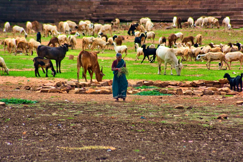 People-of-India_0006