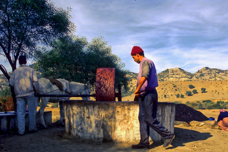 Oliveoil mill in the countryside